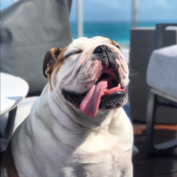 Meet your Posher, T - Picture 1 of 2